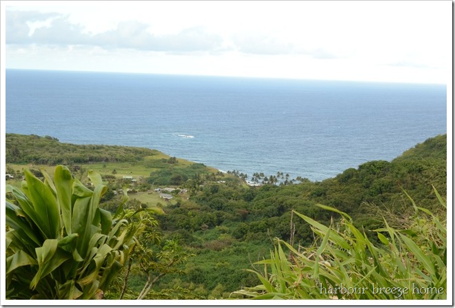 on road to hana