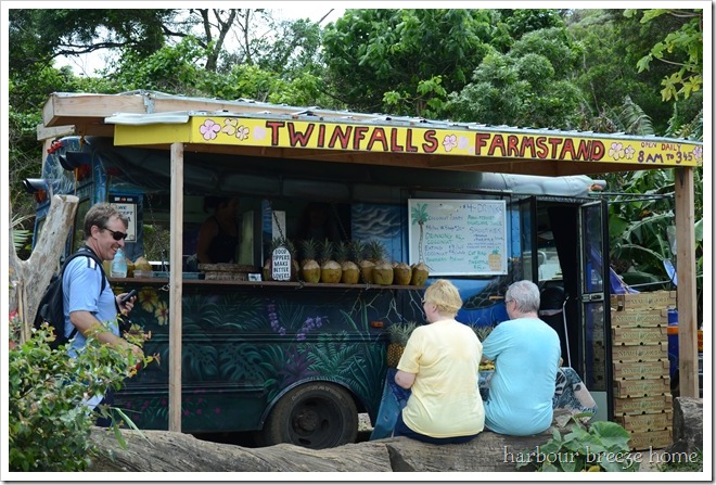 twin falls stand