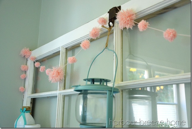 pom poms close up ps