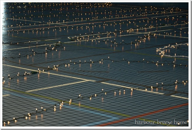 lights on the net