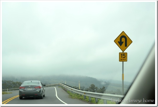 the road to the volcano