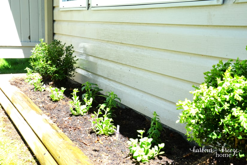 Urban patio styling