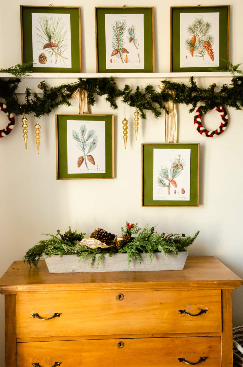 Vintage Botanical Prints – Pine Cone Winter Wall Art