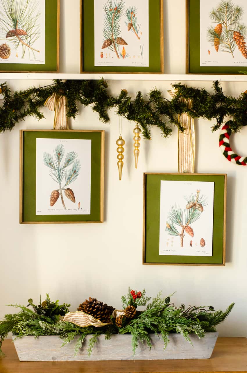 Vintage Botanical Prints – Pine Cone Winter Wall Art