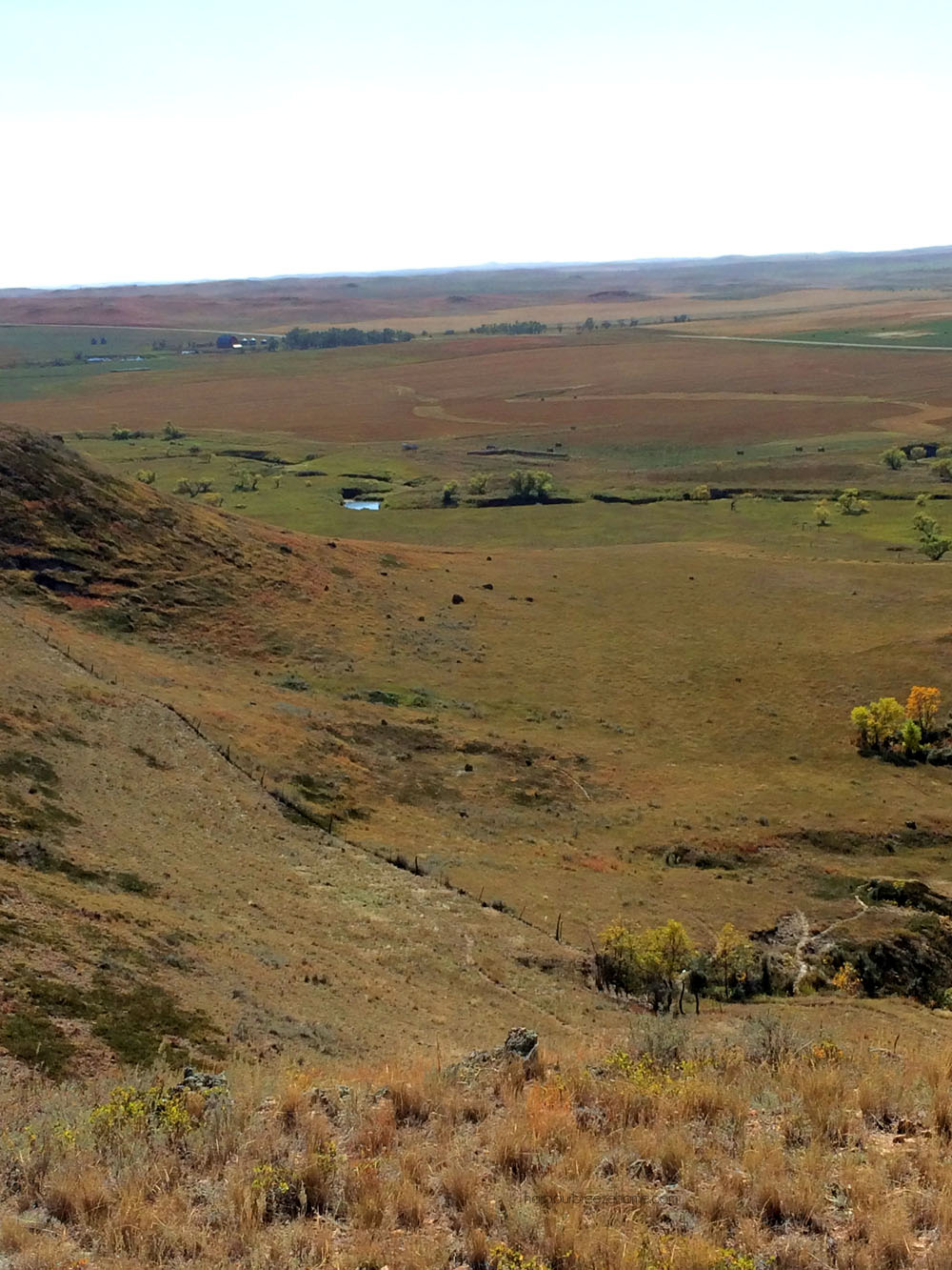 montana farm at Bildirimlerim