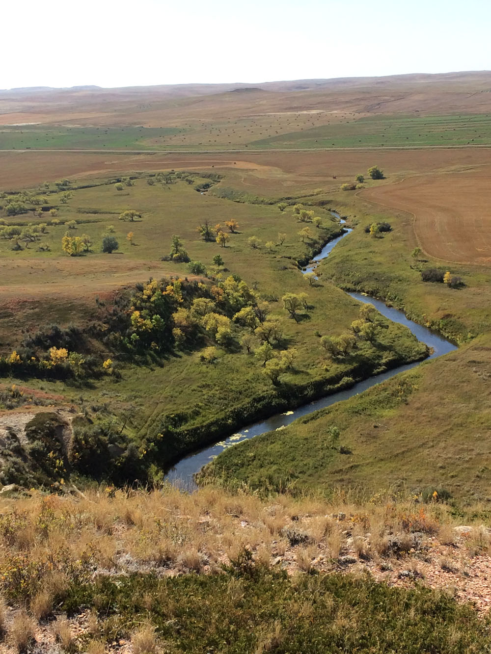 Journey Through Montana Landscape