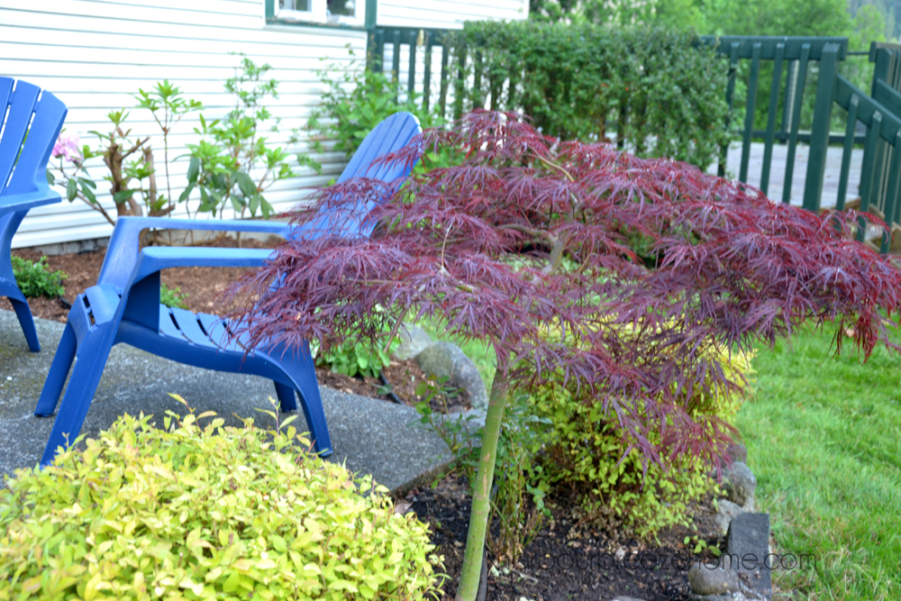 outdoor projects
