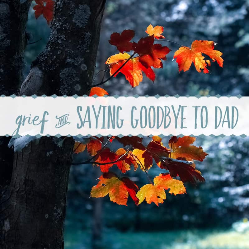 Cherishing Memories of Dad