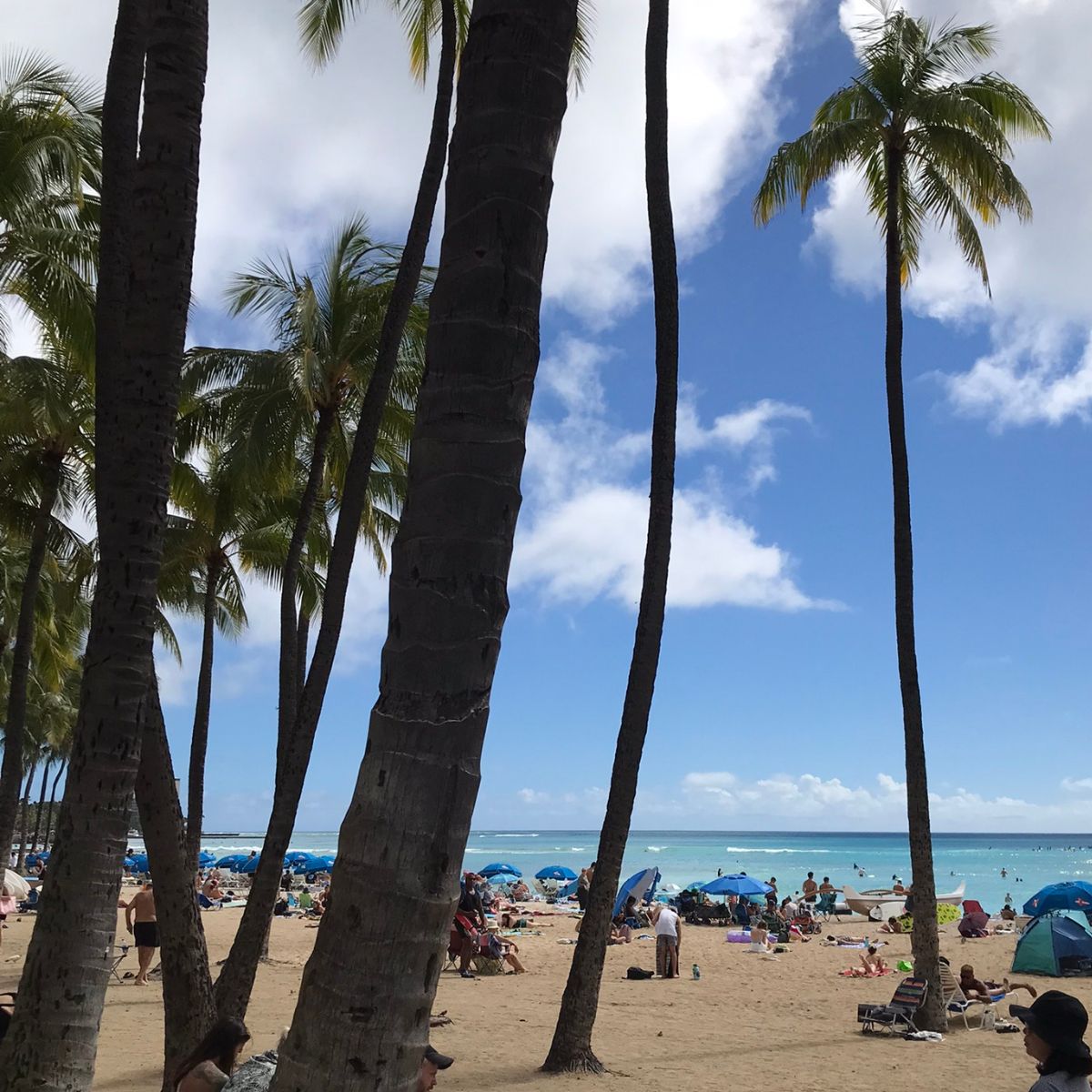 Discover Oahu: Top Activities and Our Preferred Spots