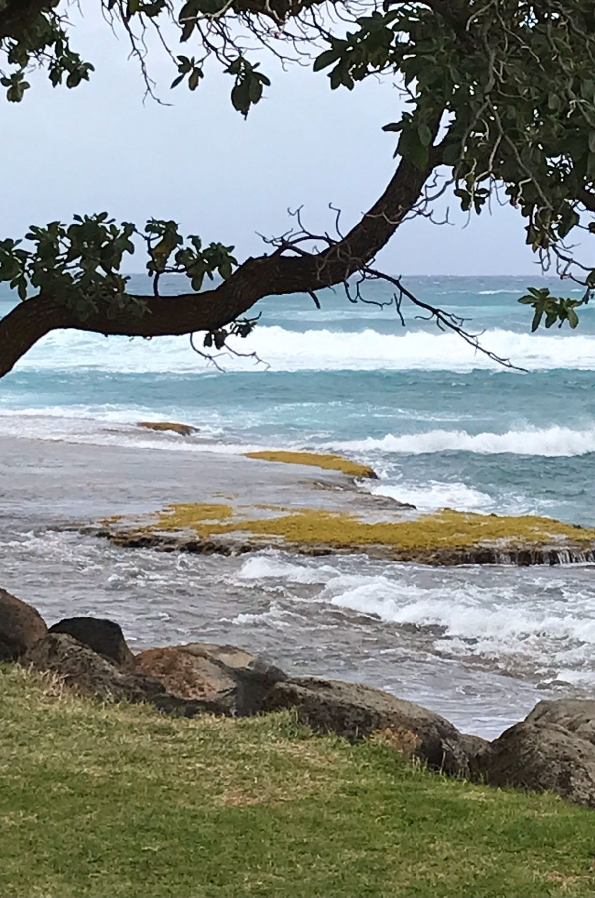 What to do in Oahu + Our Vacation Favorites