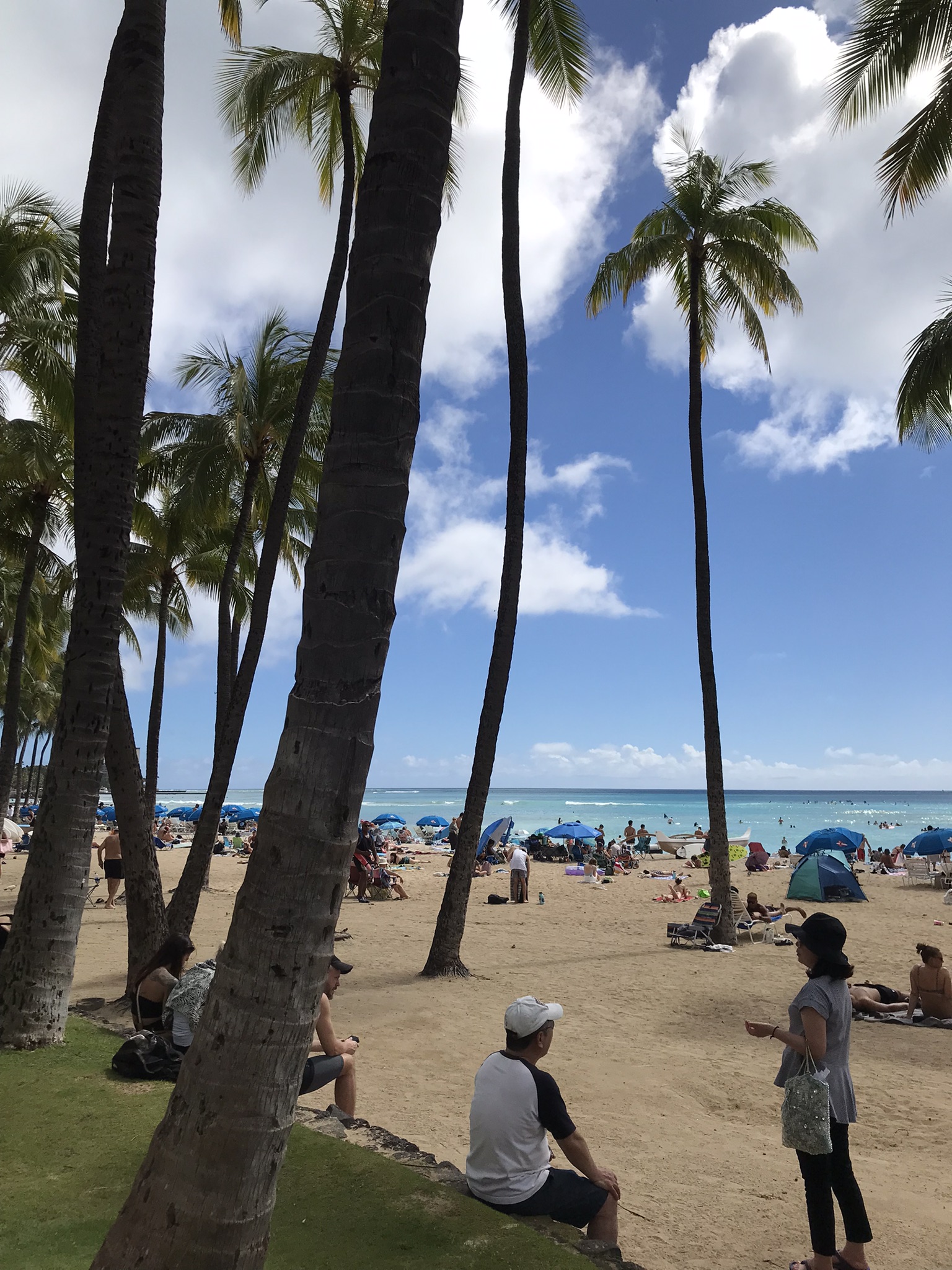 What to do in Oahu + Our Vacation Favorites