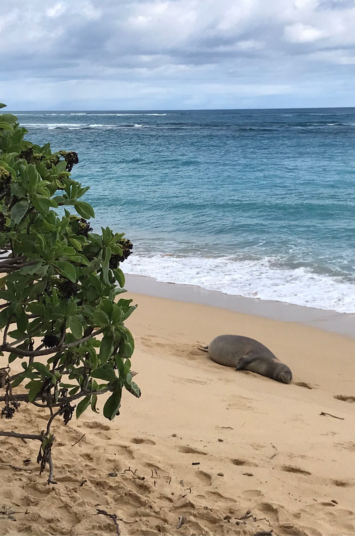 What to do in Oahu + Our Vacation Favorites