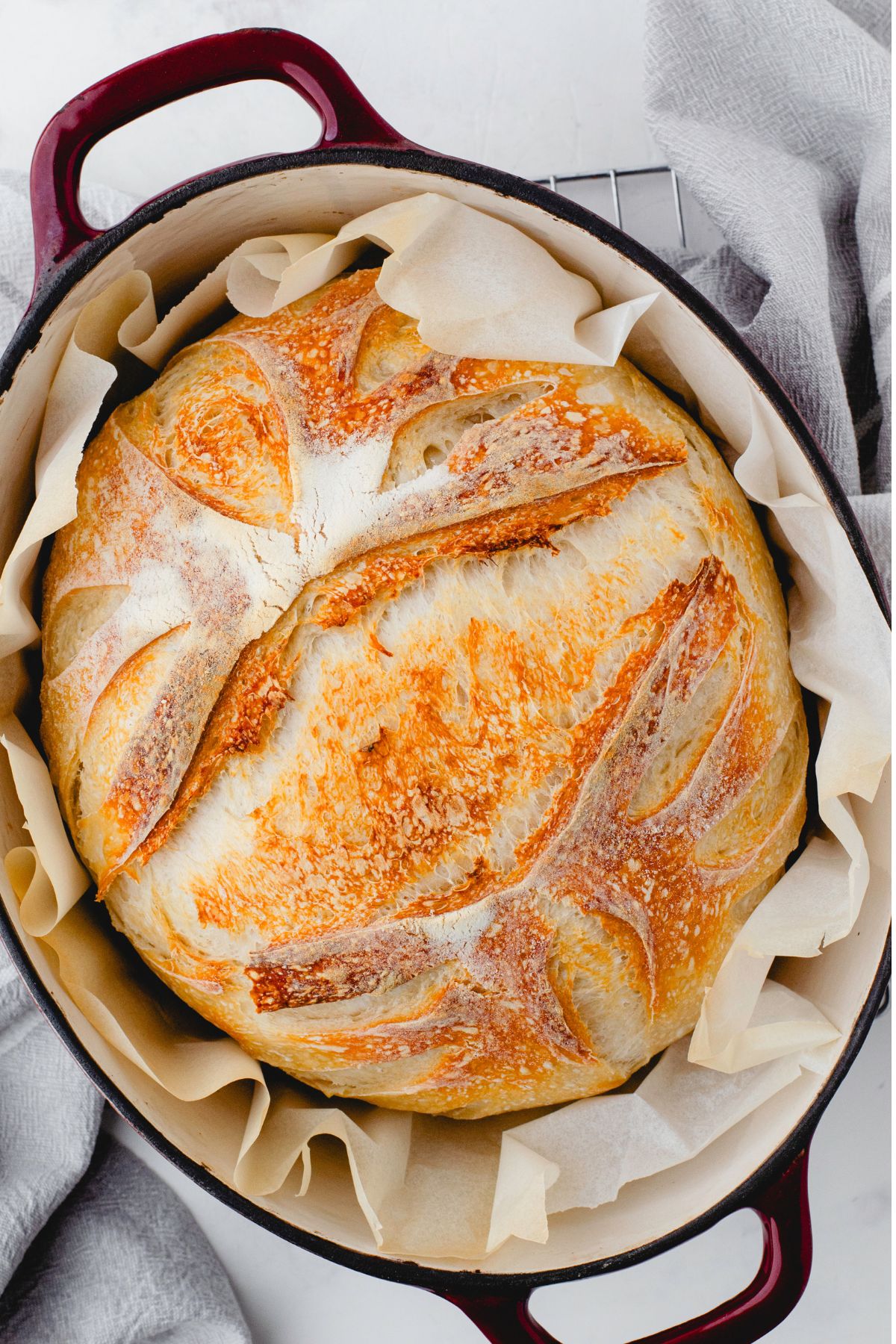 Sourdough bread freshly baked and in a dutch oven