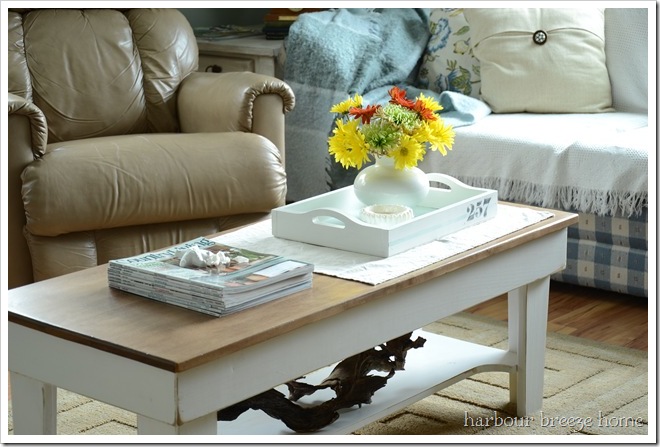 Coffee Table Decor Ideas for Your Living Space