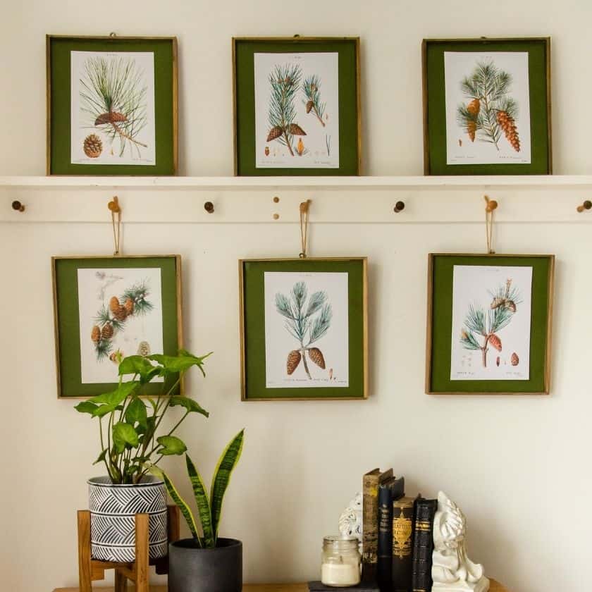 Creative Winter Decor Ideas With Free Botanical Art