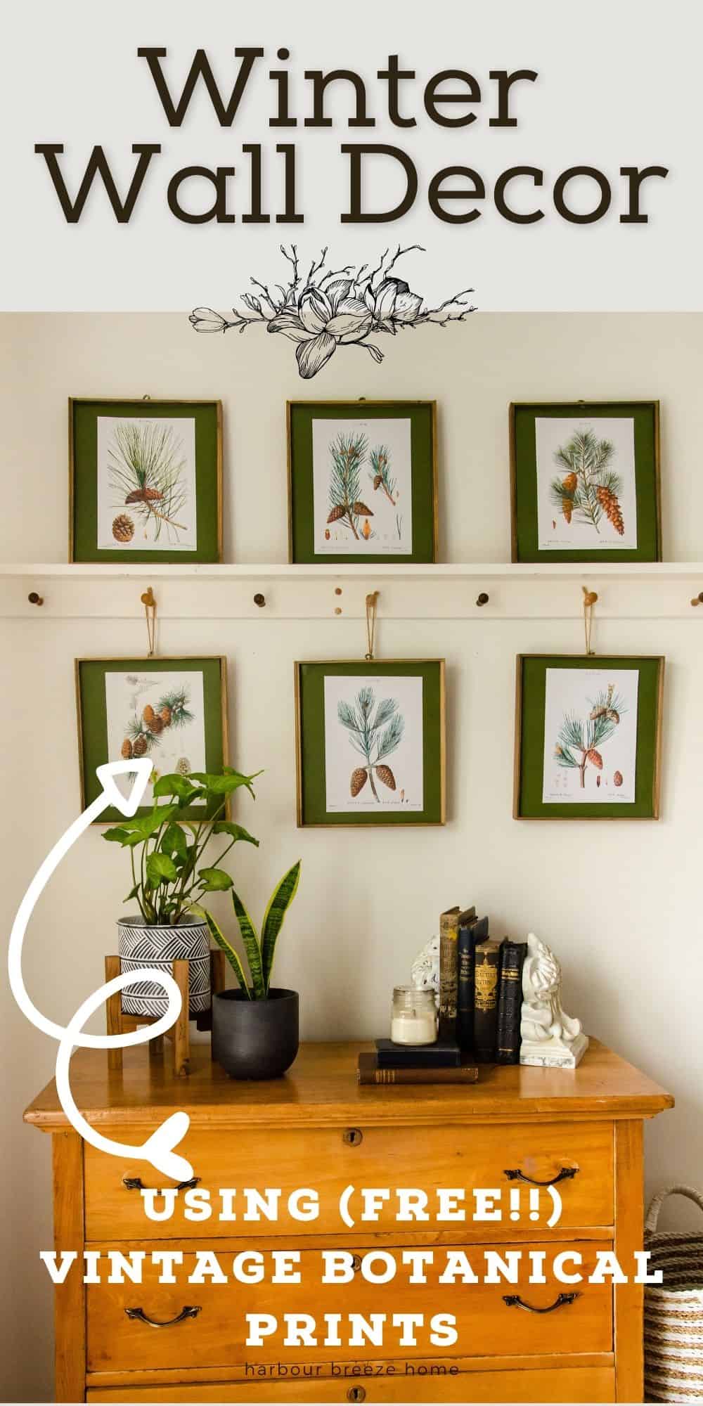 Easy Wall Art Using Free Winter Botanical Prints