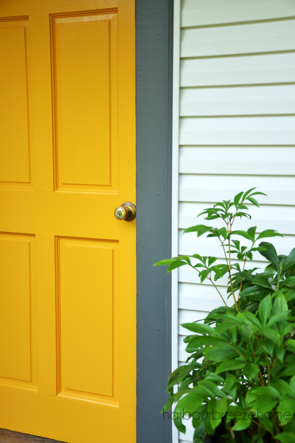 Yellow Marigold & Kendall Charcoal Front Door