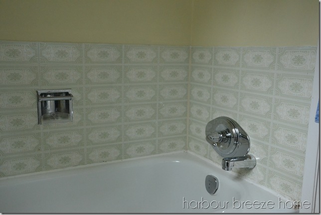 Starting Our Main Bathroom Renovation