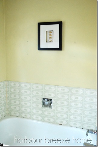 tub wall before ps