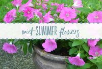Blooming Mid-Summer Flowers to Brighten Your Garden