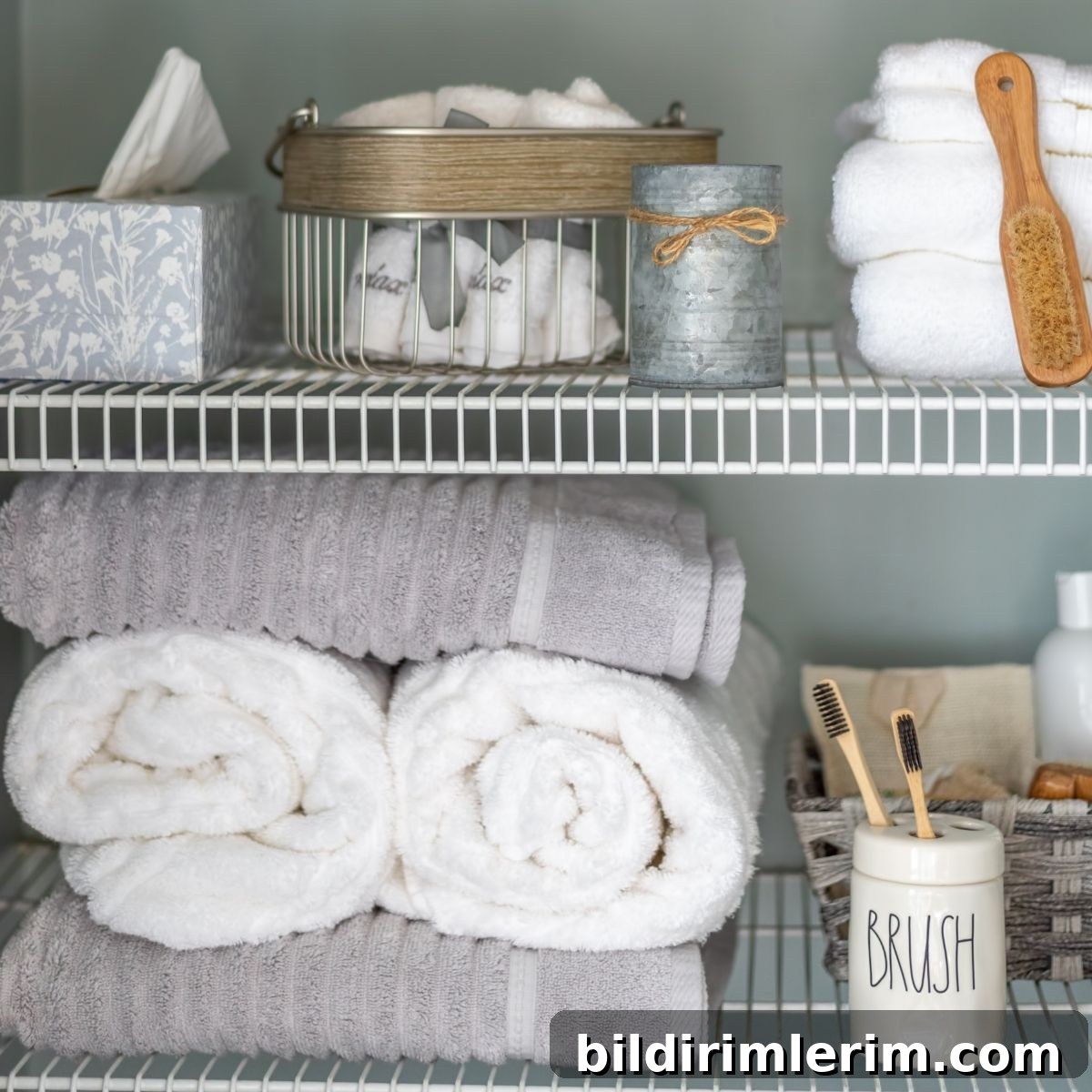 featured 11239
