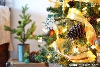 Twinkle Lights to Soothe a Grieving Soul