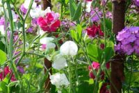 Flower Garden Tips for Beginners: Planting and Care Guide