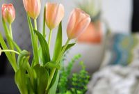 5 Budget-Friendly Spring Home Refresh Ideas