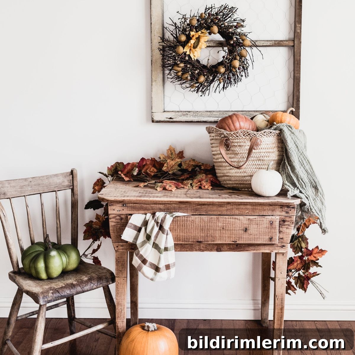 featured 14616
