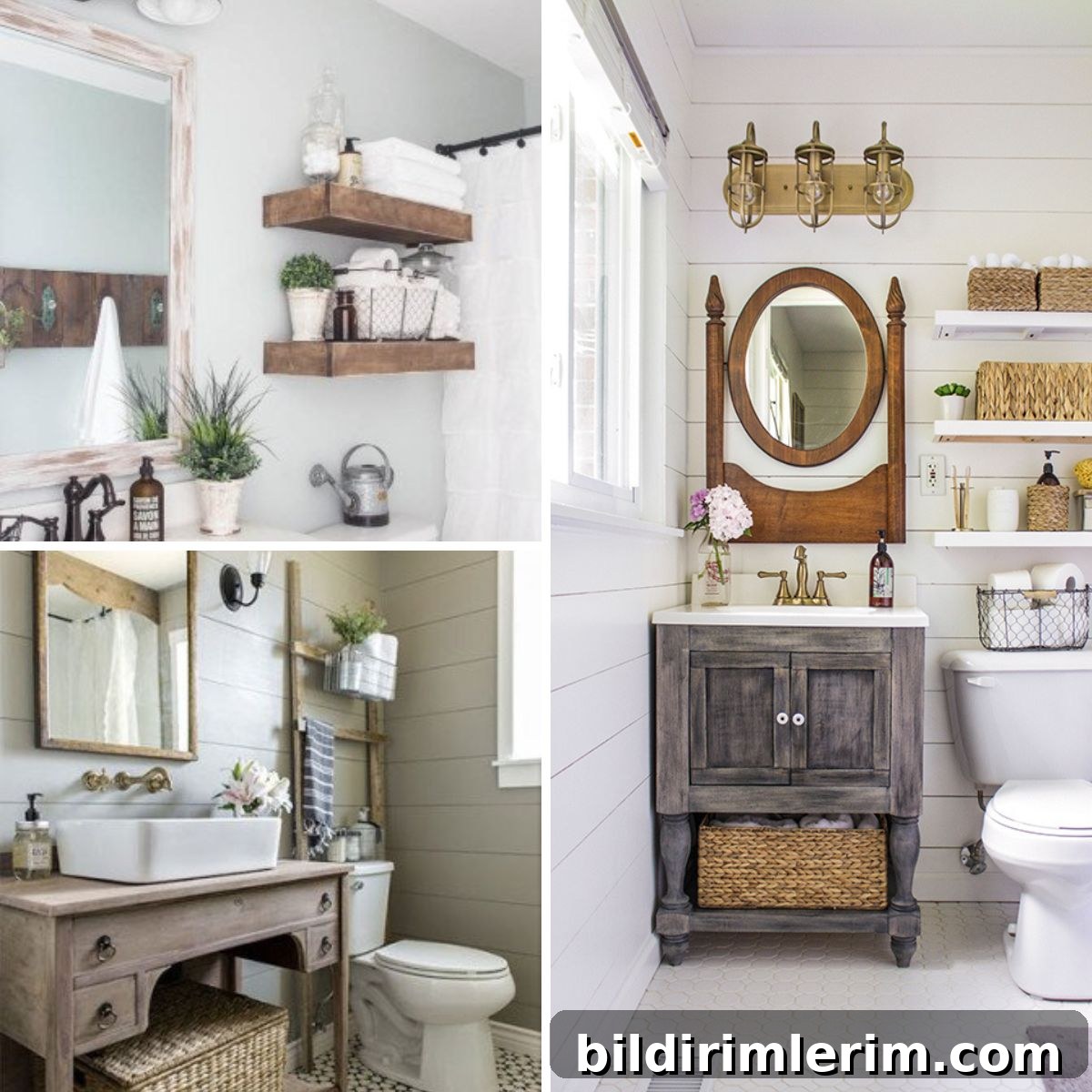 featured 14926