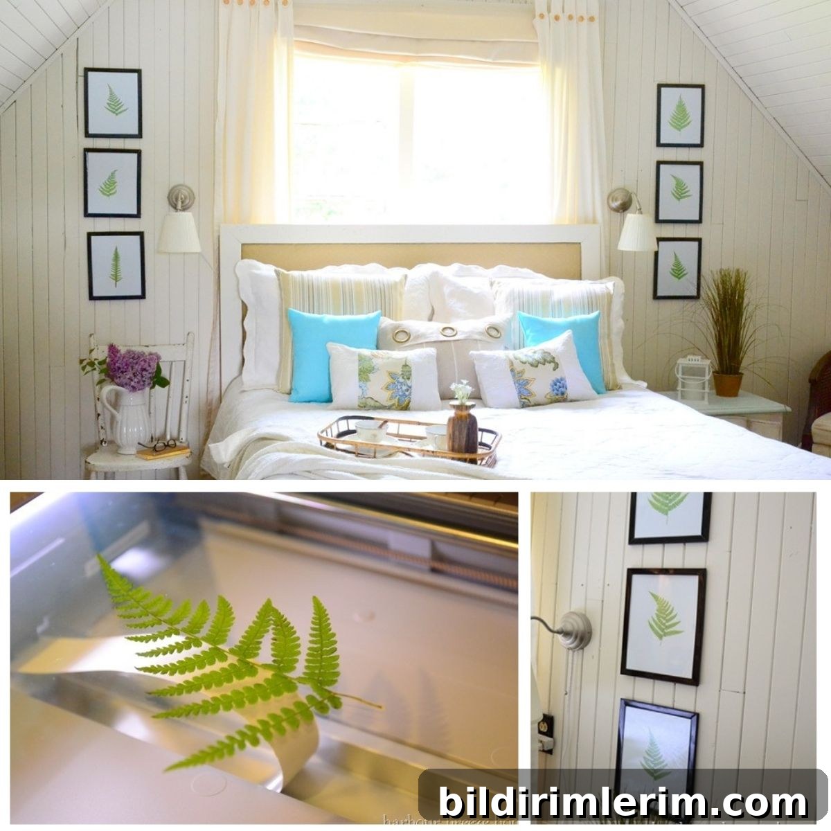 featured 1524