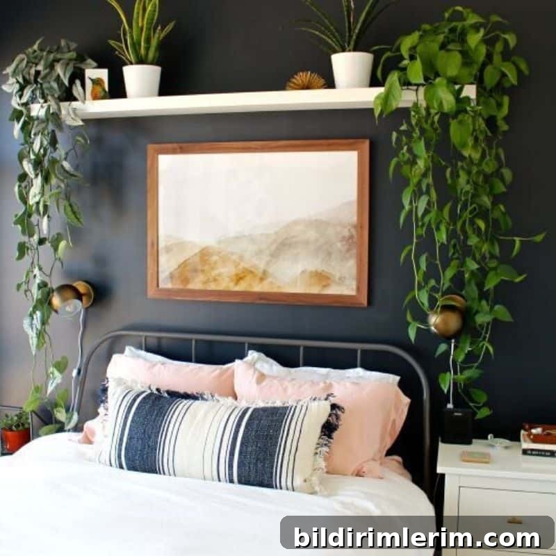 featured 15632