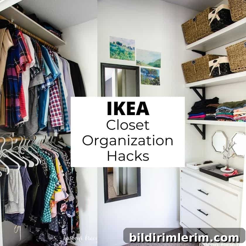 featured 15693