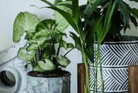 DIY Tin Can Planters: Upcycled Flower Pot Ideas