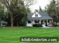 featured 15969