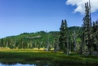 Summer Escape to Mount Washington on Vancouver Island