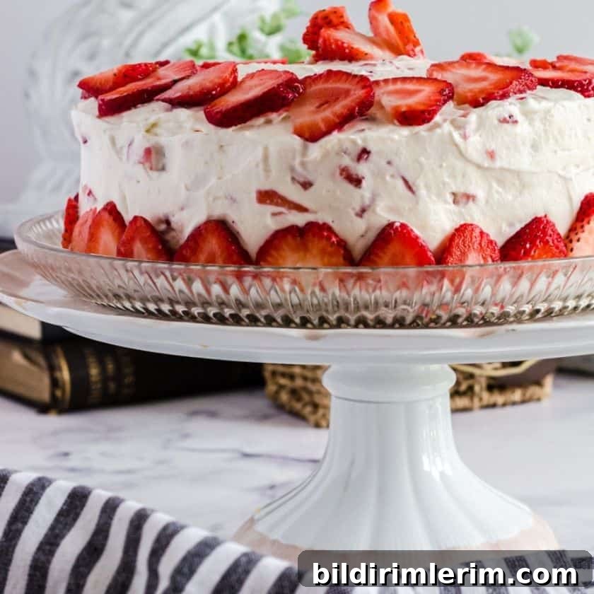 featured 17046