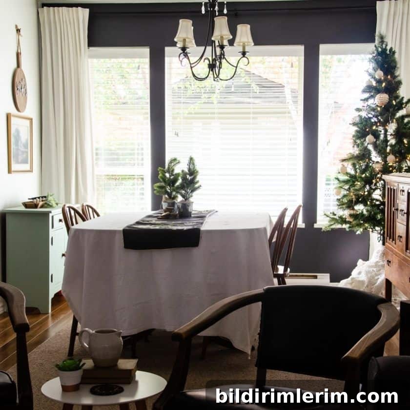 featured 17153