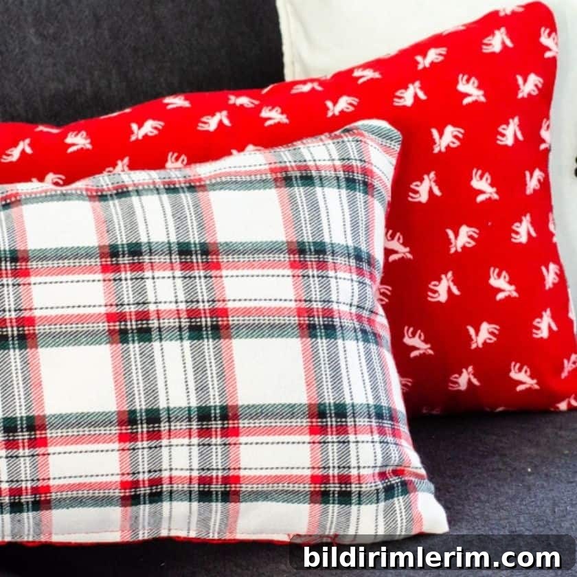 featured 17184
