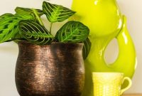 Style Farmhouse Shelves with Houseplants: Tips and Ideas