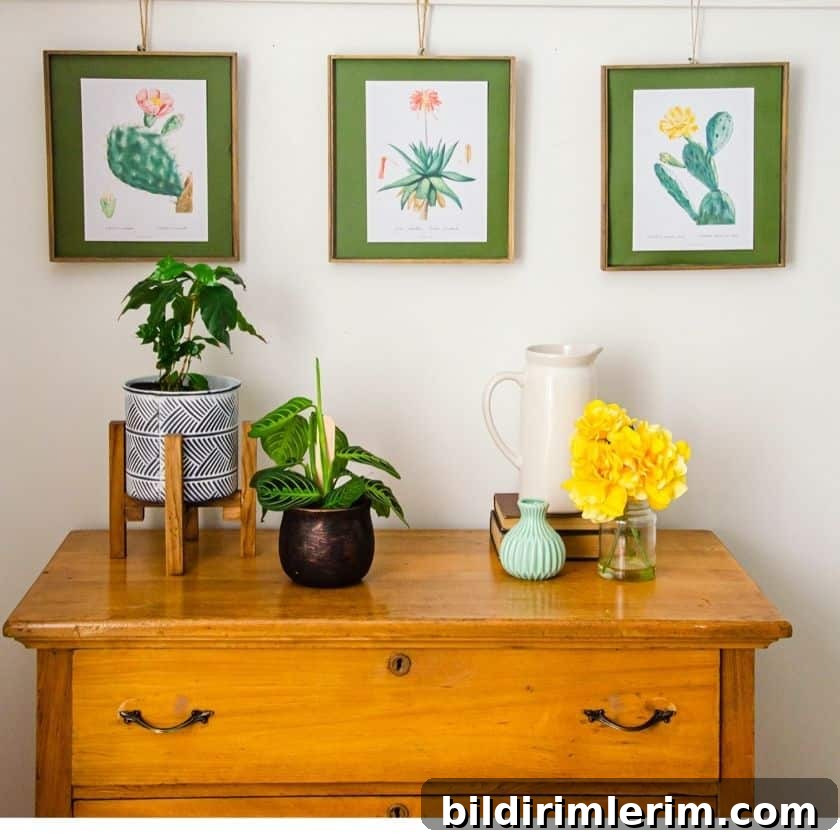 featured 18742