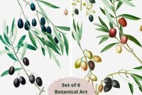Free Olive Branch Botanical Wall Printables to Download