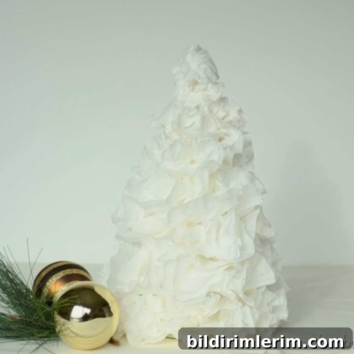 featured 3162