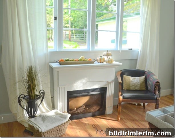 featured 6033