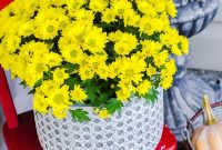How to Care for Potted Mums in Fall