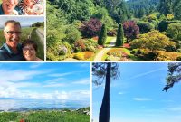 Insider’s Guide: Must-Visit Places on Vancouver Island BC