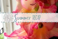 Summer Reflections: Highlights, Trends, and Takeaways