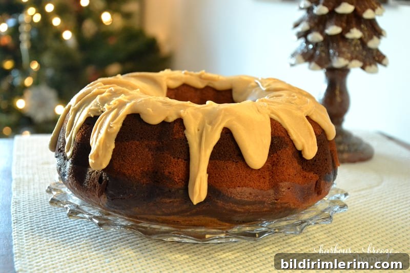 Chocolate Pumpkin Bundt Cake