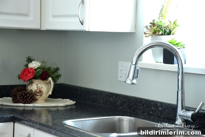 New gooseneck faucet installed