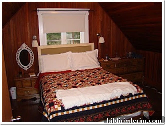 img 10311 1